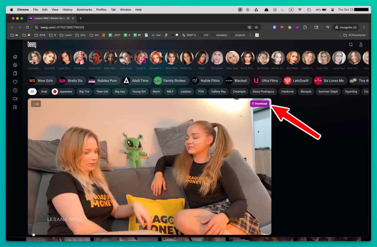 Beeg Video Downloader website preview