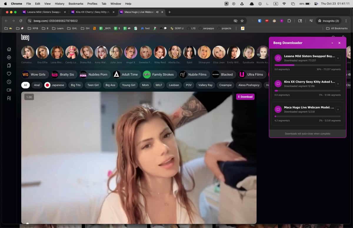 Beeg Video Downloader embedded video detection prompt