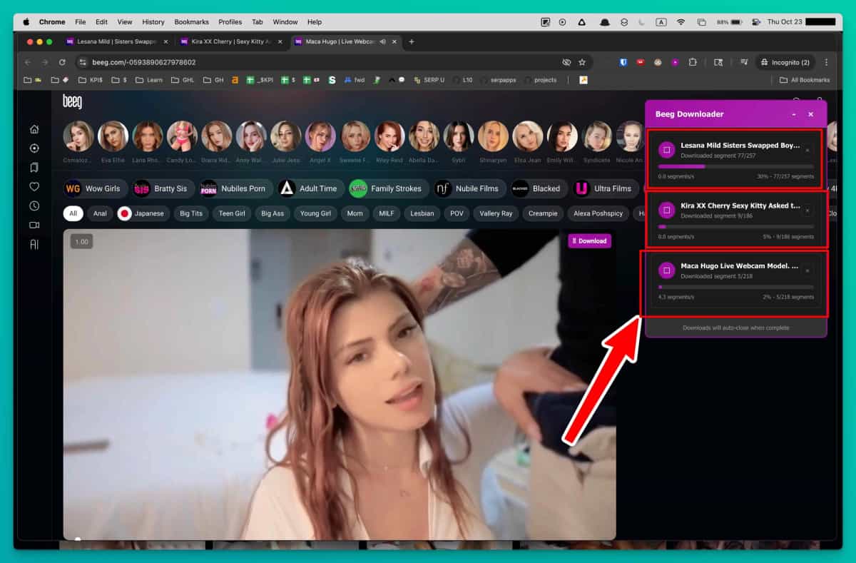 Beeg Video Downloader download progress indicators