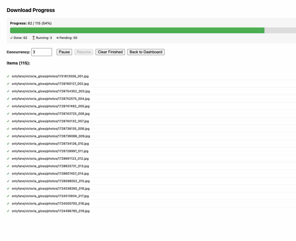 Onlyfans Downloader download progress indicator