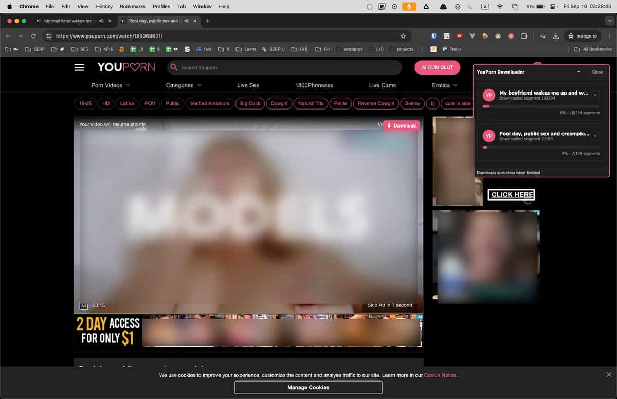 Queue of Youporn downloads ready for export