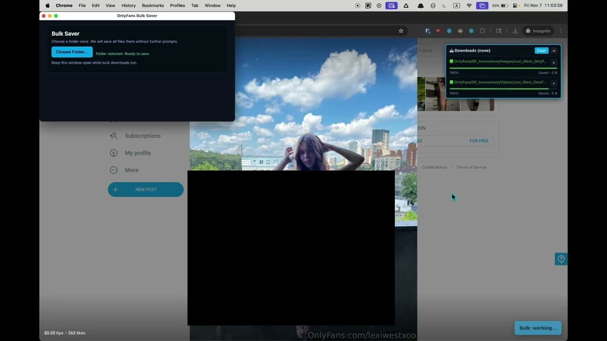 onlyfans downloader - bulk downloading demo