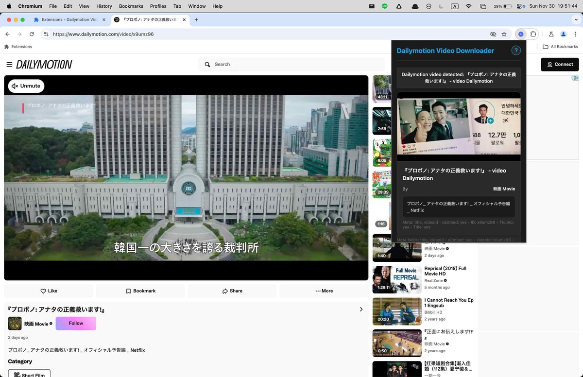 Dailymotion Downloader interface showing video download options