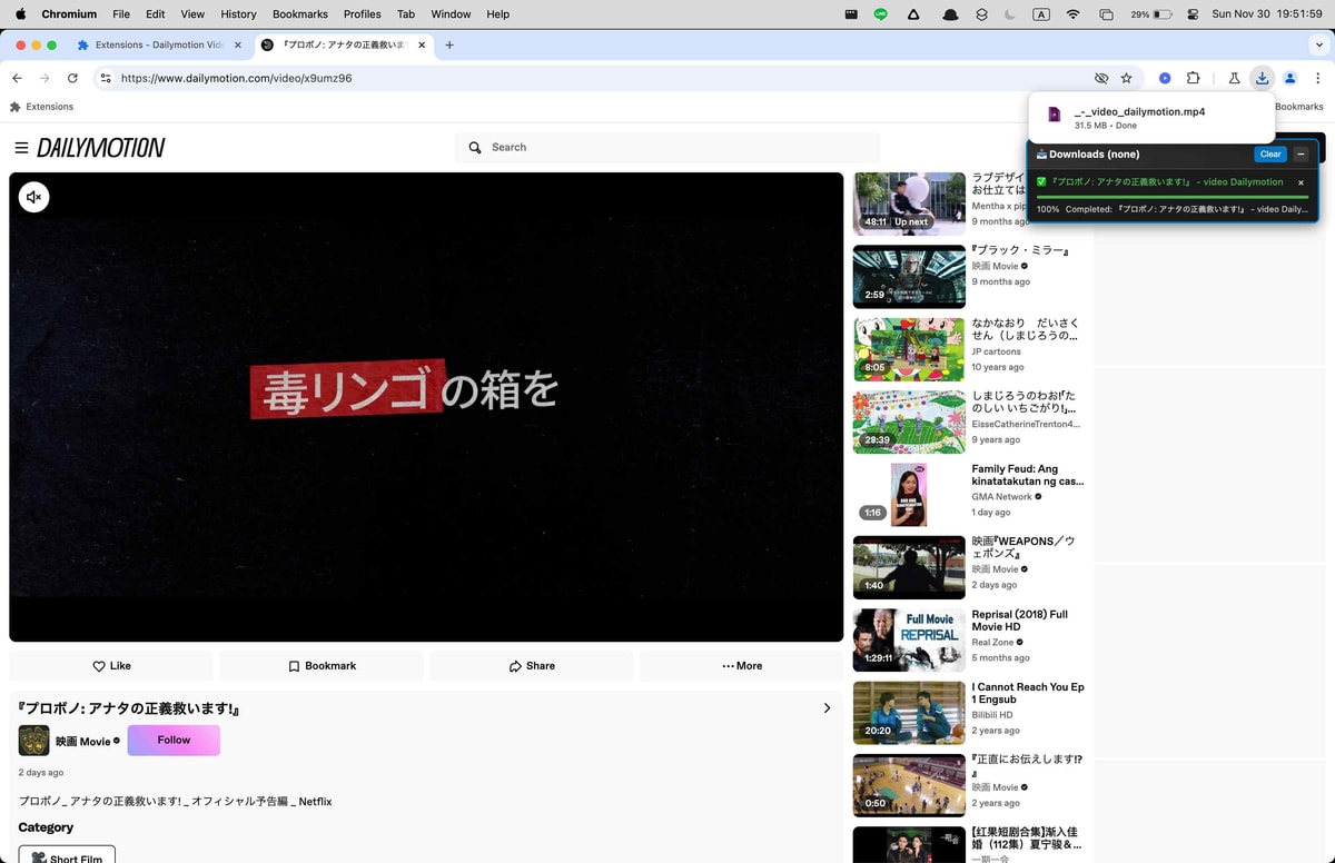 Dailymotion Downloader download confirmation view