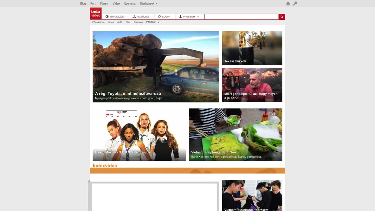 IndaVideo Downloader website homepage