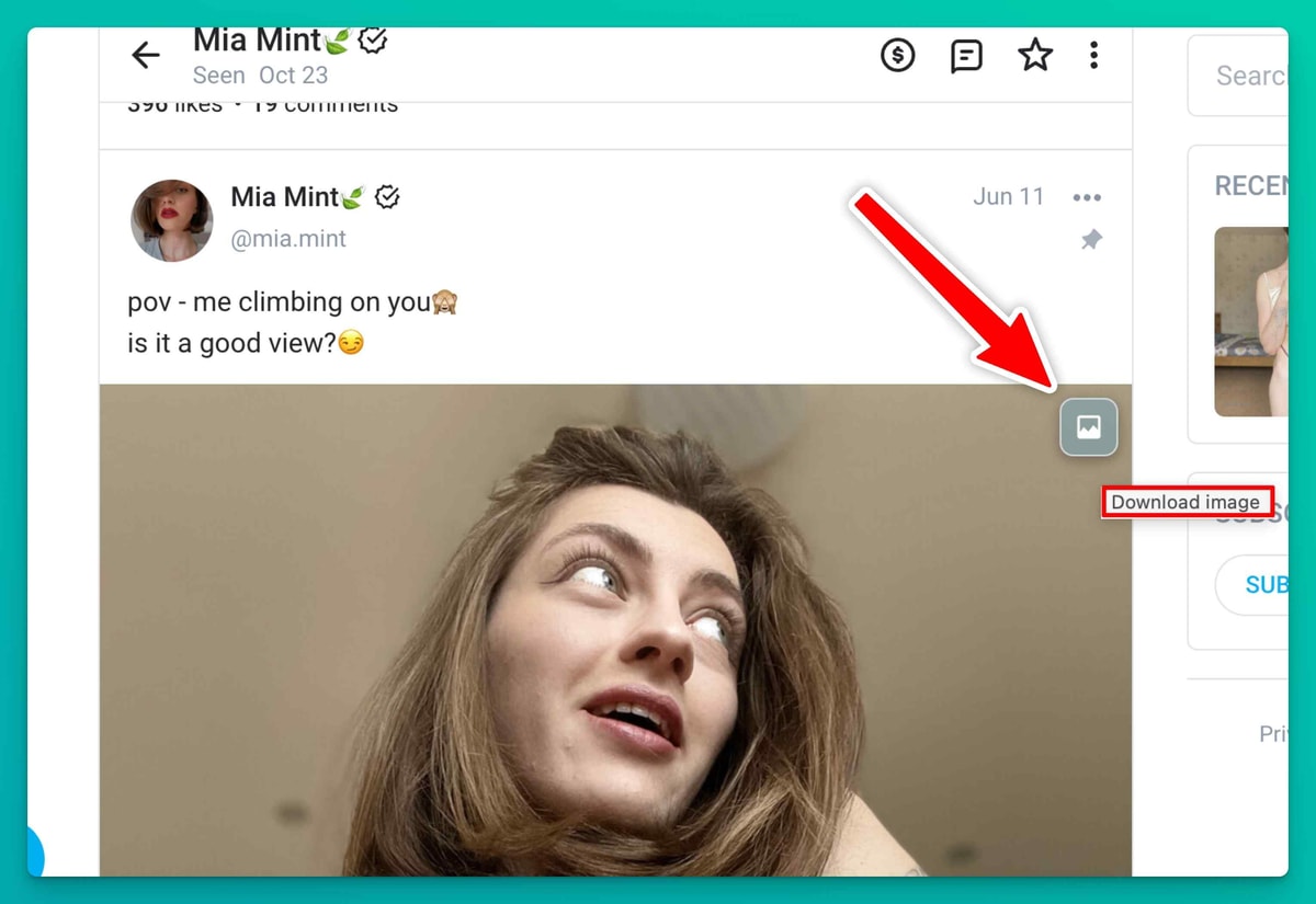 Onlyfans Downloader download button overlay