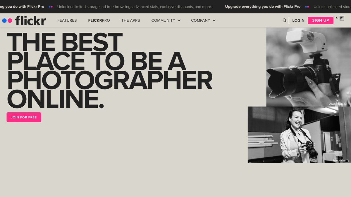 Flickr Downloader website preview