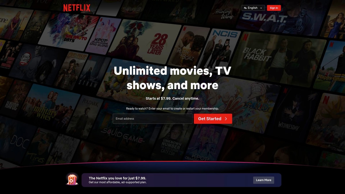 Netflix Downloader website preview