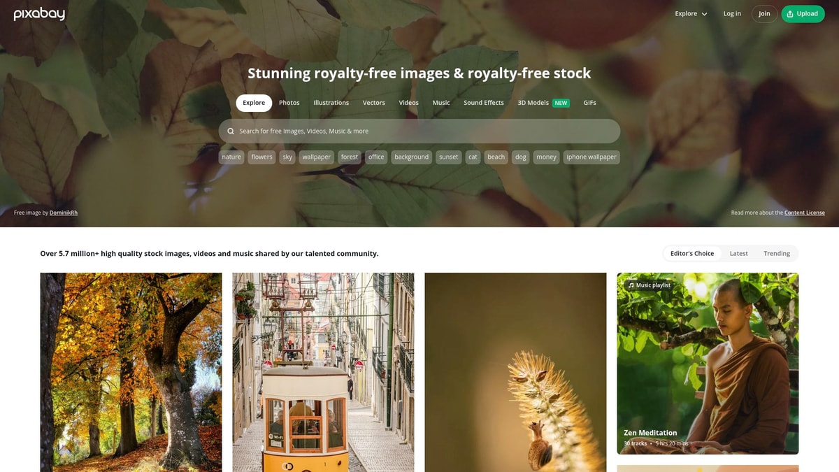Pixabay Downloader website preview