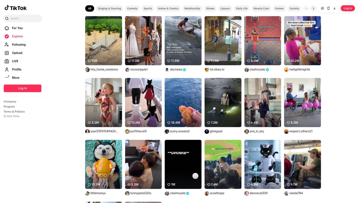 Tiktok Downloader website preview